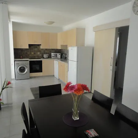 Blue Artemis Penthouse Paralimni